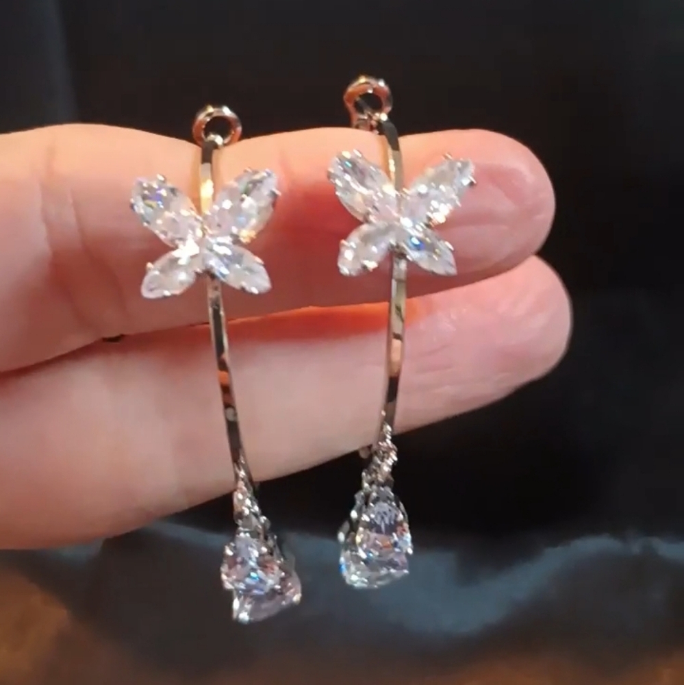 Elegant Silver Butterfly Hoop Earrings - Picture 7 of 8